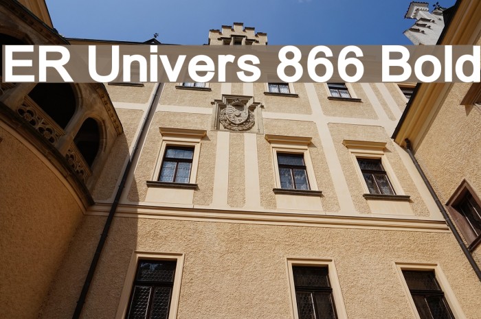 ER Univers 866 Bold Example 2