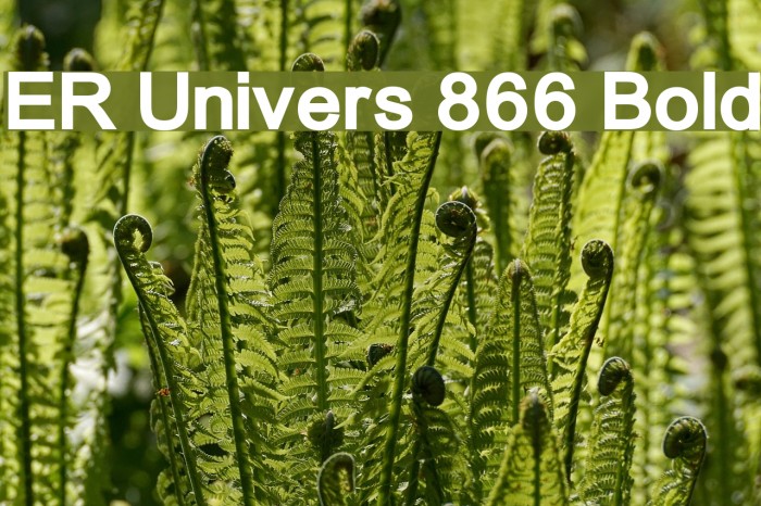 ER Univers 866 Bold Example 3
