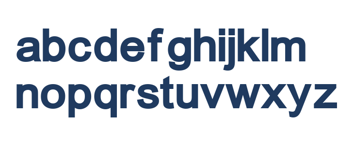 ER Univers 866 Bold Lowercase