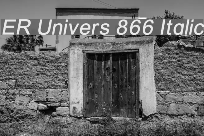 ER Univers 866 Italic Font examples