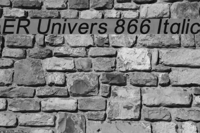 ER Univers 866 Italic Font examples