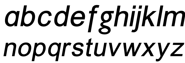ER Univers 866 Italic Font LOWERCASE