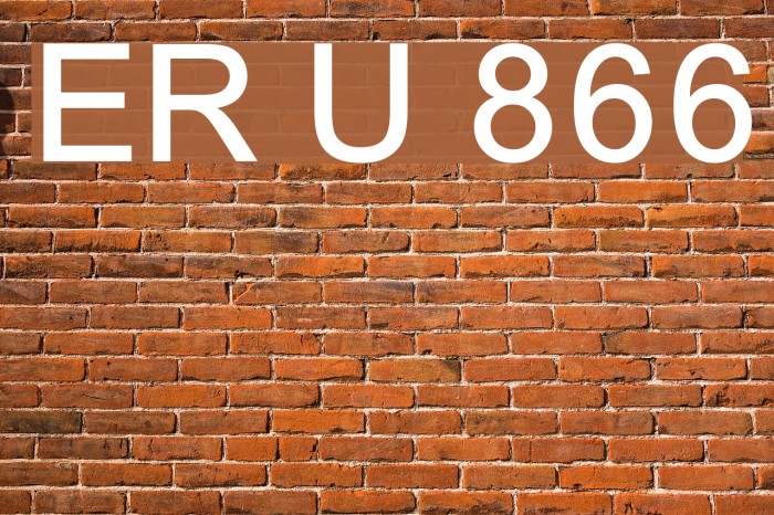 ER Univers 866 Example 2