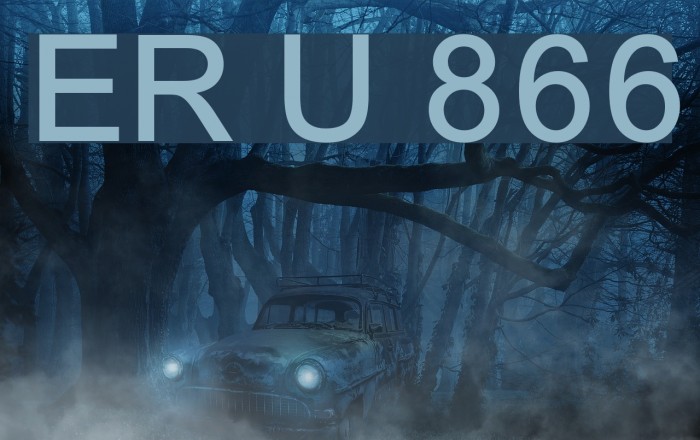 ER Univers 866 Example 3