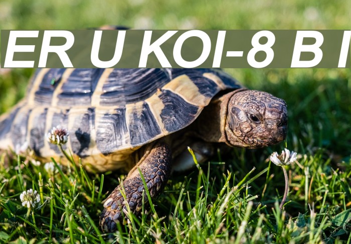 ER Univers KOI-8 Bold Italic Font examples