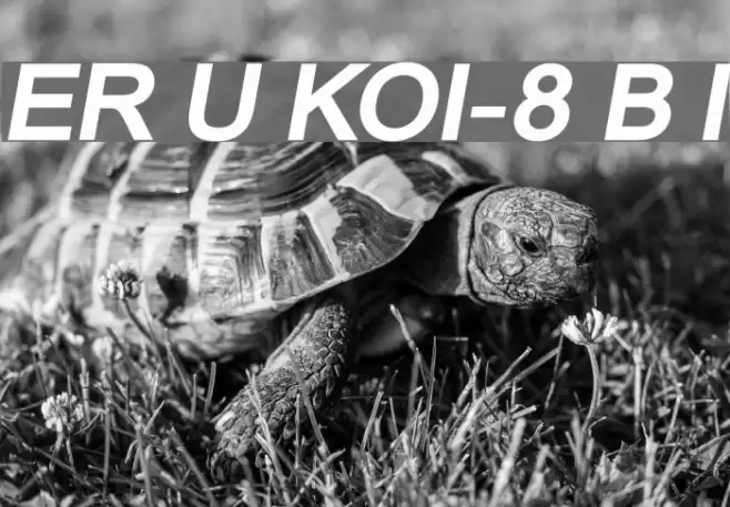 ER Univers KOI-8 Bold Italic Schriftart examples