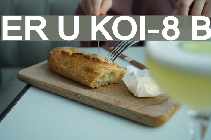 ER Univers KOI-8 Bold Font examples