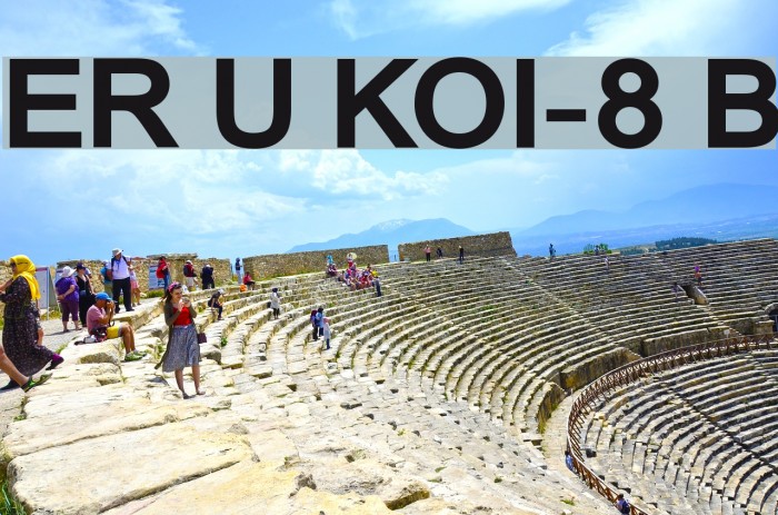 ER Univers KOI-8 Bold Font examples