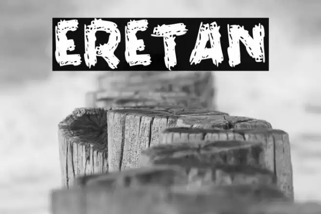 ERETAN Font examples