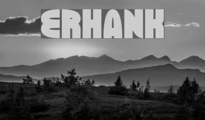ERHANK Example 1