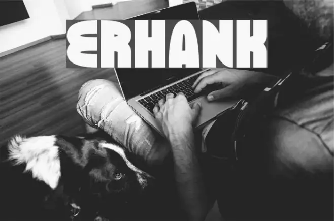 ERHANK Example 2