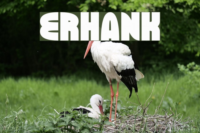 ERHANK Font examples