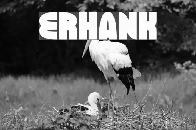 ERHANK Example 3