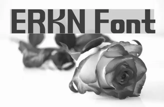 ERKN Example 1
