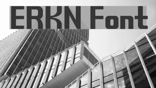 ERKN Example 2
