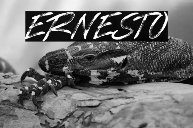 ERNESTO Font examples