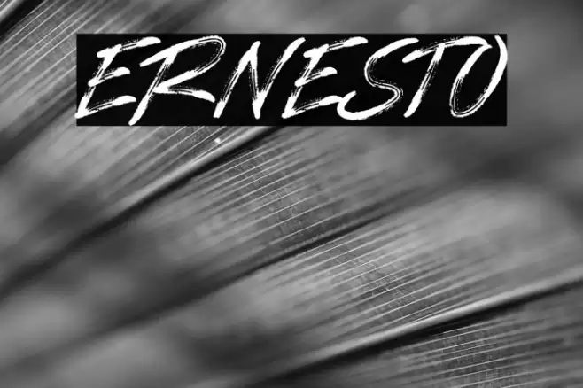 ERNESTO Font examples