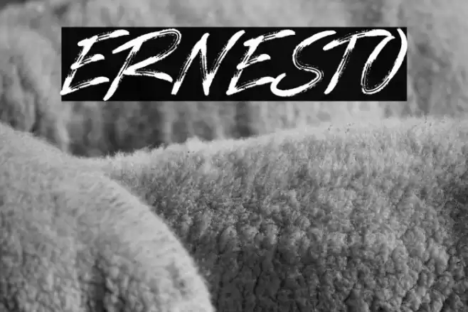 ERNESTO Font examples