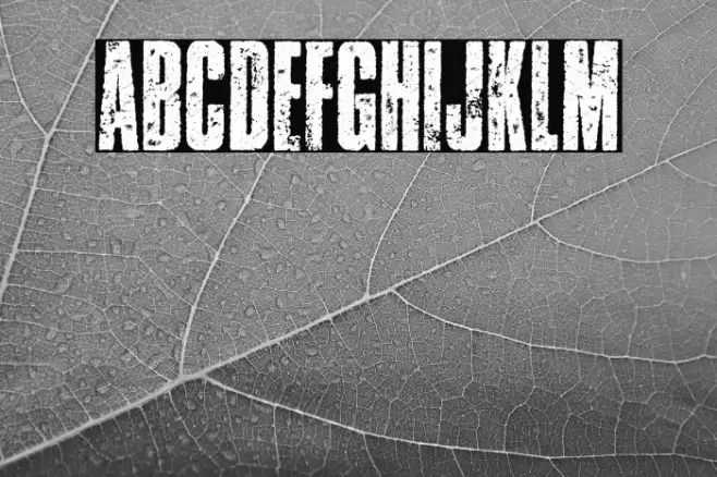 ERODED PERSONAL USE Regular Font examples