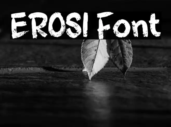 EROSI Example 3