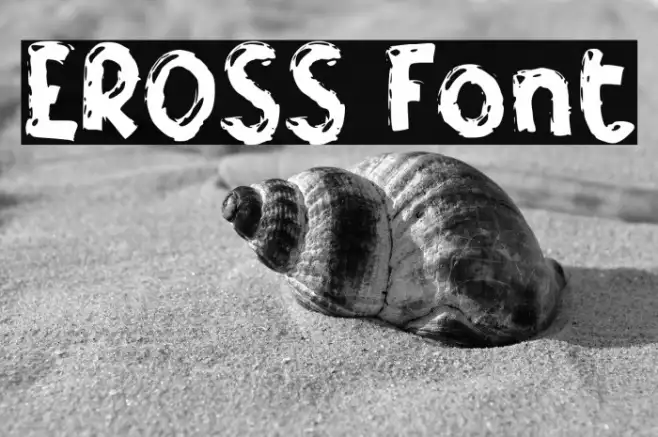 EROSS Example 1