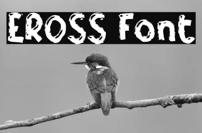 EROSS Example 2