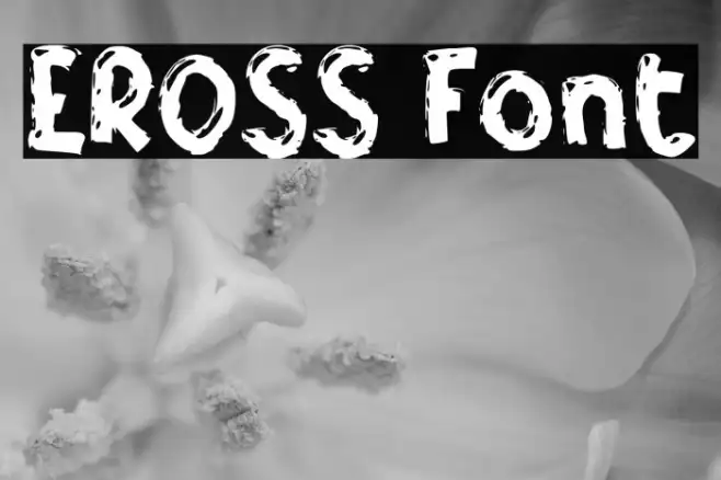 EROSS Example 3