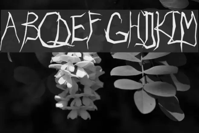 Eradicate Font examples