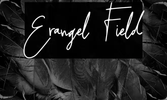 Erangel Field Font examples