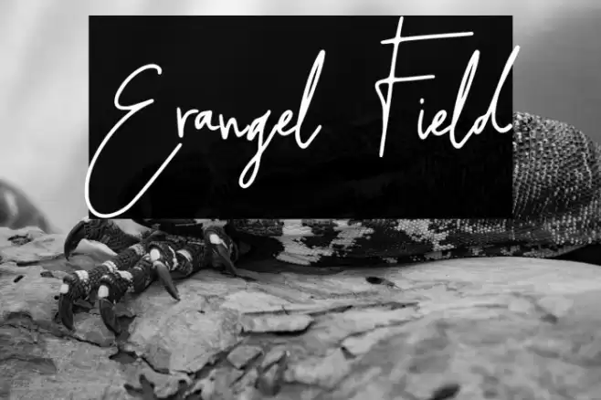 Erangel Field Font examples