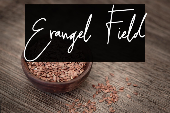 Erangel Field Example 3