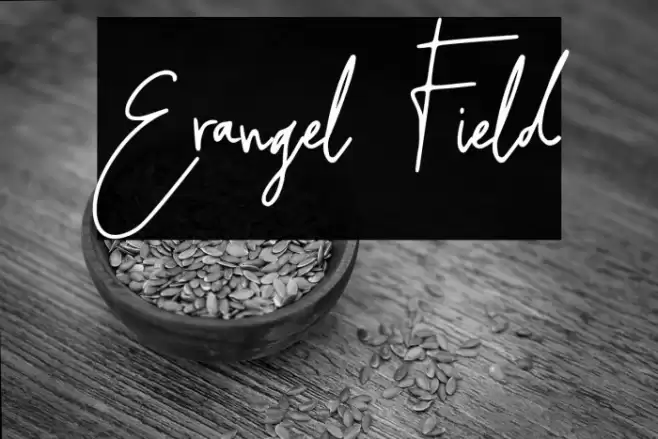 Erangel Field Font examples