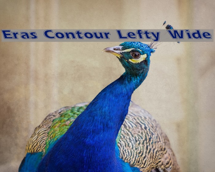 Eras Contour Lefty Wide Font examples