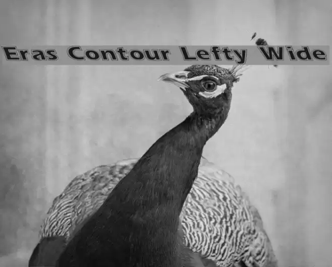 Eras Contour Lefty Wide フォント examples