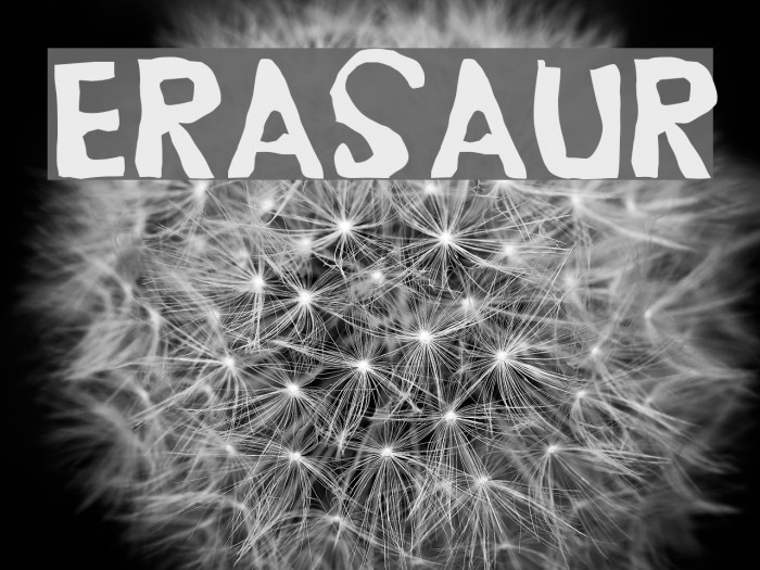 Erasaur Font examples