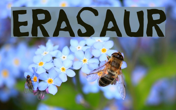 Erasaur Font examples