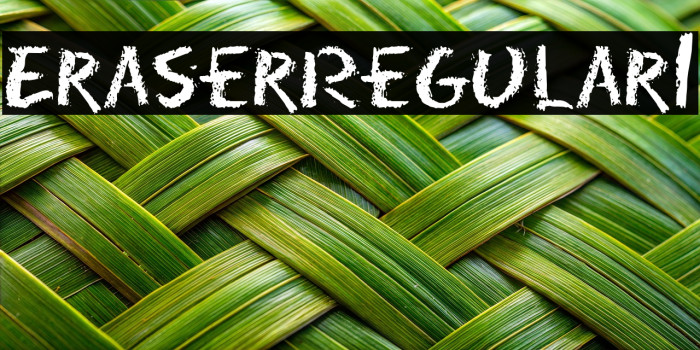 Eraser Regular1 Example 1