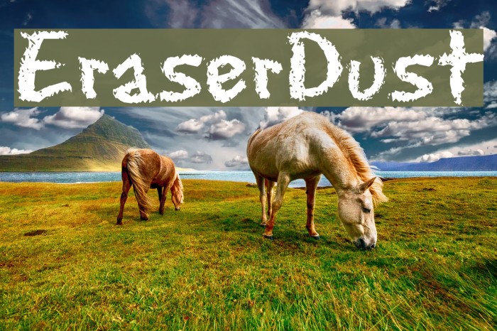 EraserDust フォント examples