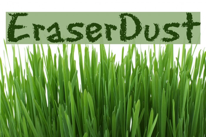 EraserDust フォント examples