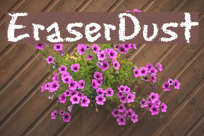 EraserDust フォント examples