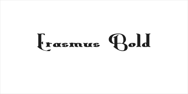 Erasmus Bold Logo