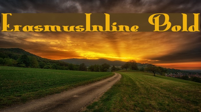 ErasmusInline Bold フォント examples