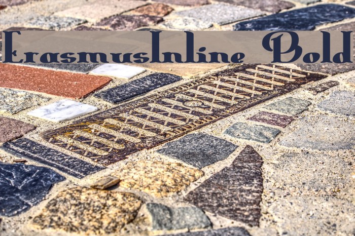 ErasmusInline Bold フォント examples