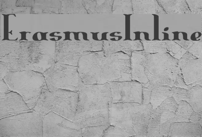 ErasmusInline Polices examples