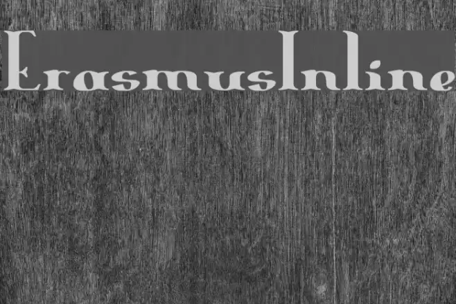 ErasmusInline Polices examples