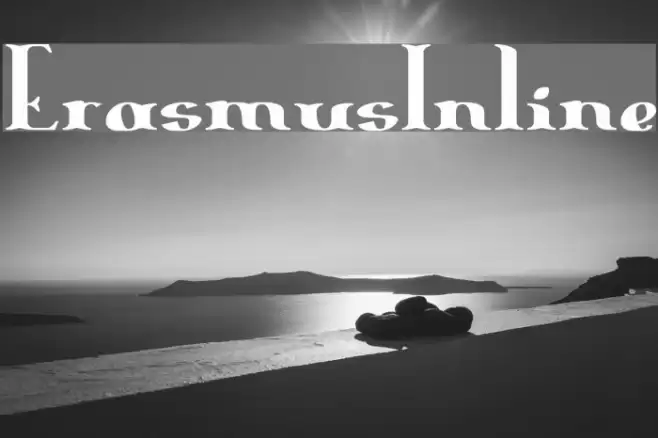 ErasmusInline Polices examples