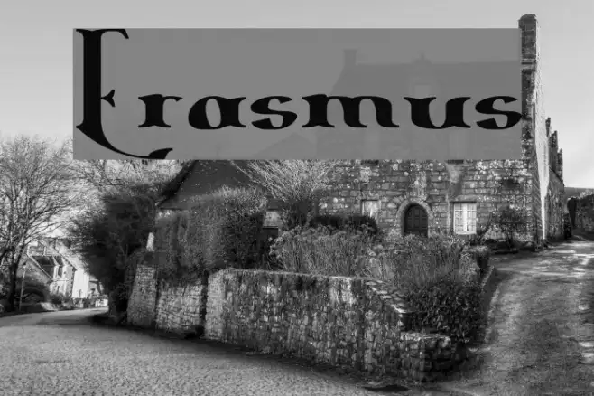 Erasmus Example 1