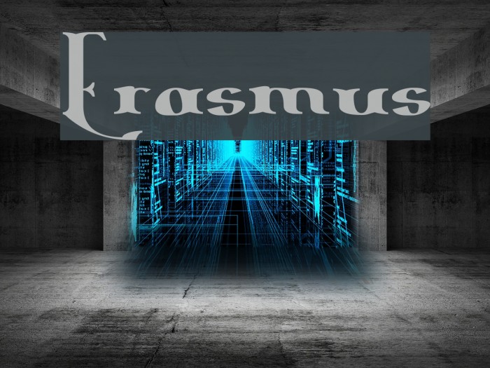 Erasmus Шрифта examples