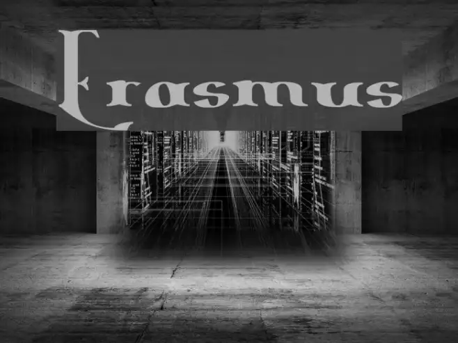 Erasmus Example 3