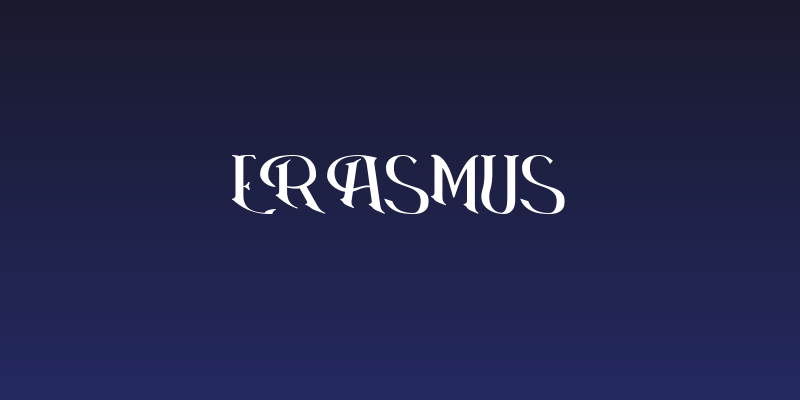 Erasmus Social Header